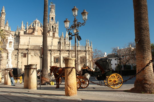 horse drawen carriage in front of Seville cathedral