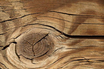 Close up of wood pattern