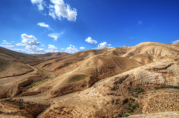 Desert Landscape in Israel