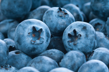 Fresh blue berries group