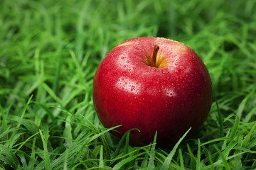 apple