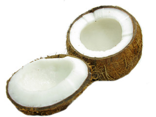 coconut nut isolated