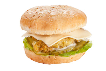 cheeseburger on the plate