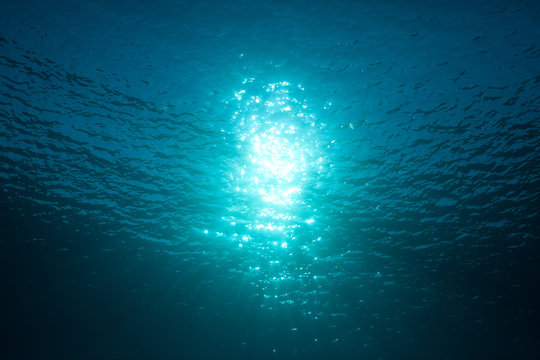 sun through the water