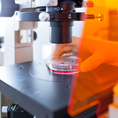 Research - using a modern microscope in a lab