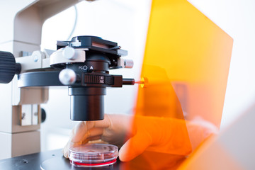 Research - using a modern microscope in a lab