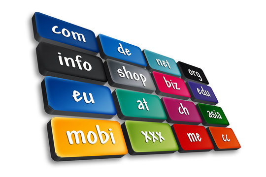 Worldwide Top Domains