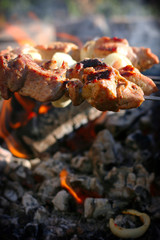 Shish kebab