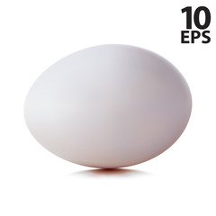 Egg. Vector illustration