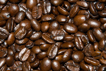 Coffee Beans Close Up