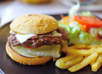 Big appetizing fast food sandwich