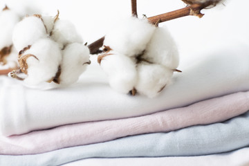 Cotton flower.