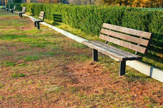 a wooden bench in the park next to the hedge