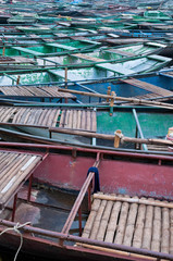 Fototapeta na wymiar Moored Rowing Boats at Tam Coc