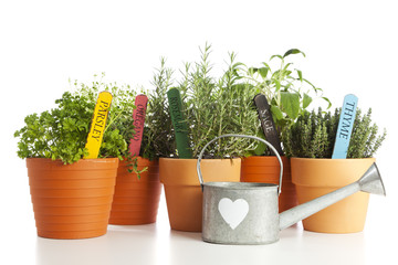 Potted Herbs And Watering Can