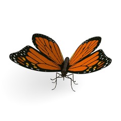 3d render of monarch butterfly
