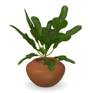 3d render of codiaeum plant