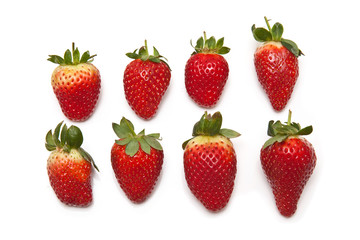 Strawberries isolated on a white studio background.