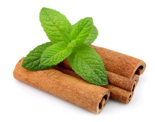 Cinnamon bark and fresh mint