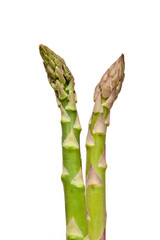 Asparagus isolated on a white studio background.