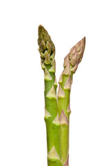 Asparagus isolated on a white studio background.