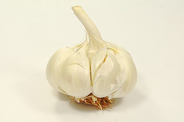Garlic Czosnek - obrazy, fototapety, plakaty