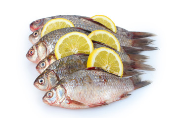 Fresh fishes with lemon isolated on white