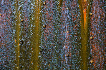 Wet mossy rusty steel plate