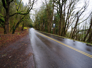 A View of Columbia River Highway