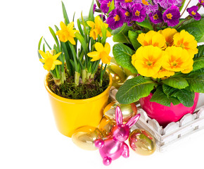 spring flowers with easter decoration