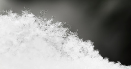 snowflake in white snow