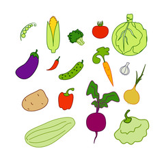 vegetables isolated(EPS 8) on white background