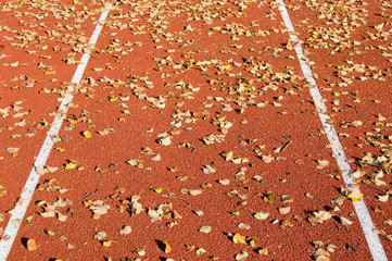Running track © Julius Fekete