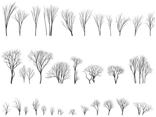 Silhouettes of trees and bushes without leaves.