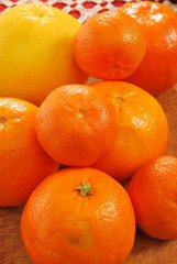 Oranges, grapefruits and tangerines