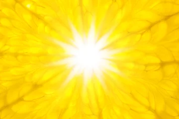 Foto op Plexiglas Plakjes fruit Oranje zoals zon / Super Macro / achtergrond