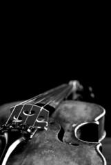 Violin - breathtaking music