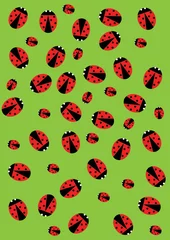Poster Lieveheersbeestjes achtergrond © aurora_np