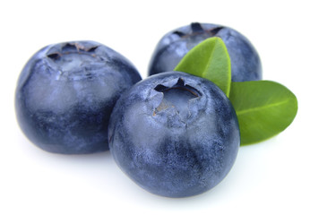 Blueberry closeup