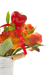 Alstroemeria