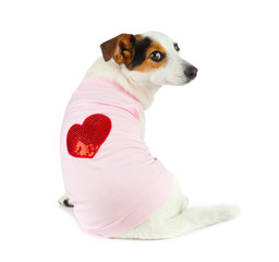 Love Dog