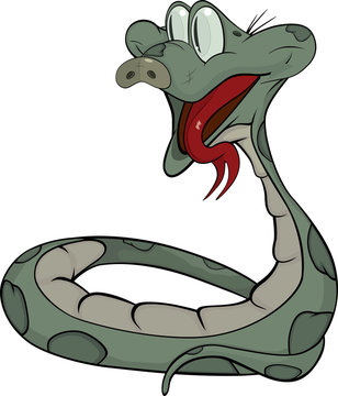 Snake. Cartoon