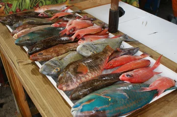 Badezimmer Foto Rückwand Fischmarkt in der Karibik © Sheila