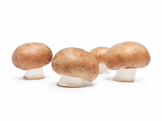 Champignons