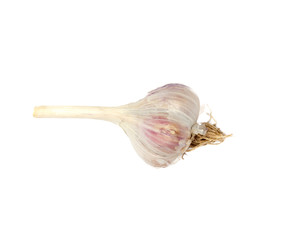 garlic isolated on white background