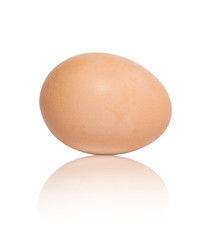 One egg on white background