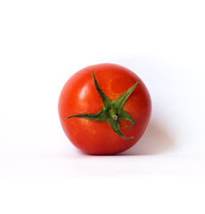 closeup of one red tomato on white background