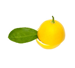 lemon