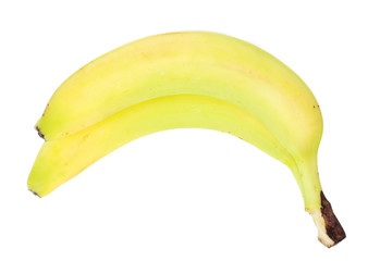 bananas on white background