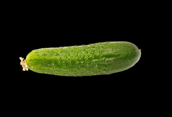 cucumber